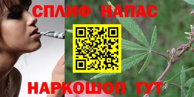 apvp Гусев