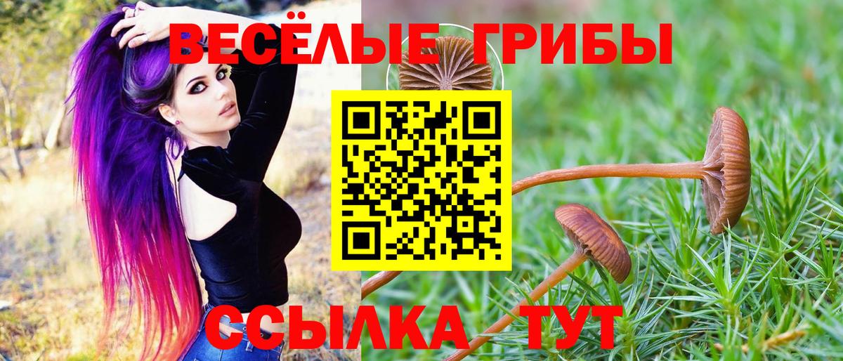 Галлюциногенные грибы прущие грибы Мытищи