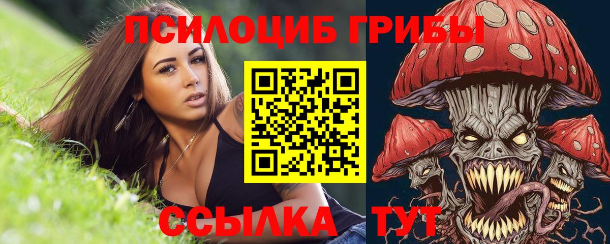 Псилоцибиновые грибы GOLDEN TEACHER  Вход с VPN  Мытищи 